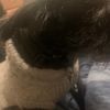 teetee122486_