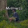 imesh_zz_