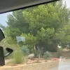 dejfer