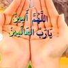 rubel.ahmed7024