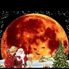 mostafa29710