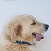 george_._._._._._._
