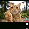 dyk8k4userzm