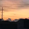y4dd3rs