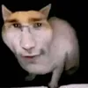 tobxxy_