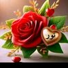 نور عبدالله