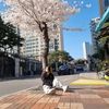 sakurahightshcool