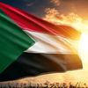 moayad.m0