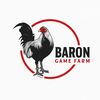 B A R O N.
