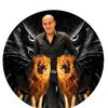 kareemmohamed6478