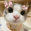 ilovme223