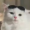 yupi_ei