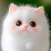 maythu.187