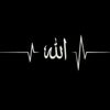 hafizfazalulrehmansohil