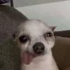 _vibraz