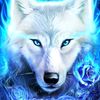 user17051224200
