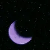 ymajid5