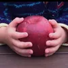jampan_jam