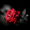 Zeyneps