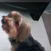 xapsrulez