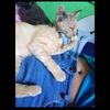 gisel.0808