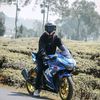 mewawan_22