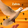 zahra10949