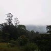 mayramolinalara