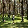 bjb_wp