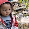 akka.ardy