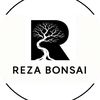 reza_bonsai