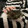 tt__736