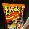 flaminhotcheetoszx