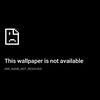 kang_laptop_