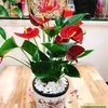 menhim_78
