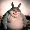 rexylemm