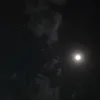 syaddd_1100
