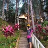 jebmianogwapa