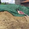 susi_strolch26