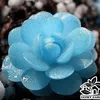 thanhthanh121019xx