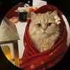 amalah7652
