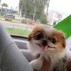lubomyrvidiliuk
