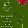 gul_0202002