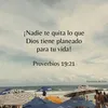 omargonzalez8178