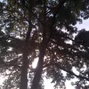 tryingtolookbusy13