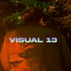 visual.13