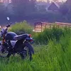 reza112233999