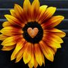 ilovebeinggigi