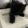 _jazzyyyyyyyyyy_