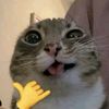 jstnana__